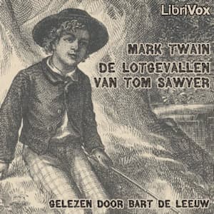 Lotgevallen van Tom Sawyer