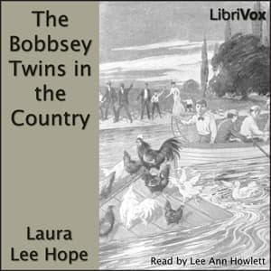 Bobbsey Twins in the Country