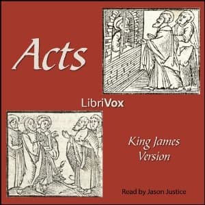 Bible (KJV) NT 05: Acts (version 2)