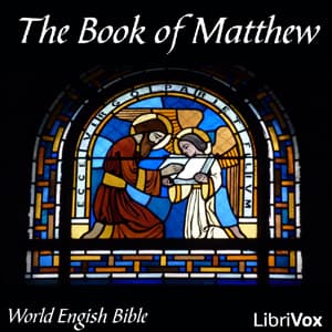 Bible (WEB) NT 01: Matthew