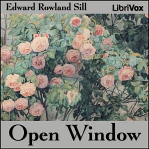 Open Window