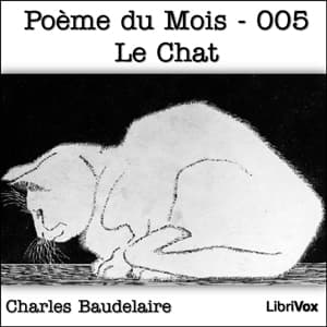 Poème du Mois - 005 Le Chat