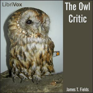 Owl Critic
