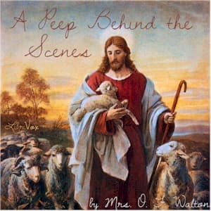 Peep Behind the Scenes (version 2)