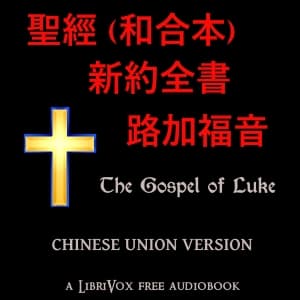 聖經 (和合本) 新約：路加福音(Luke)