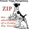 Zip, the Adventures of a Frisky Fox Terrier