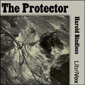 Protector