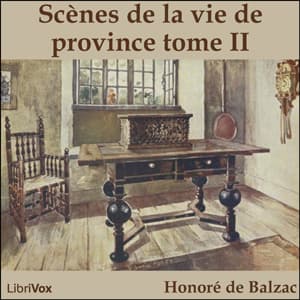 Comédie Humaine: 06 - Scènes de la vie de province tome 2 (25-6-42)