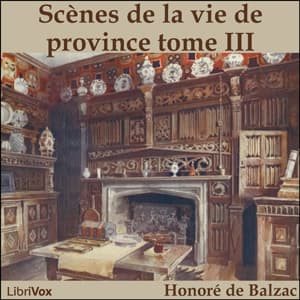 Comédie Humaine: 07 - Scènes de la vie de province tome 3 (8-9-44)