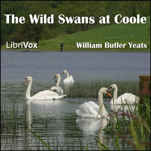 Wild Swans at Coole