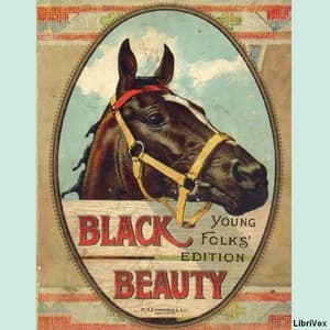 Black Beauty - Young Folks' Edition