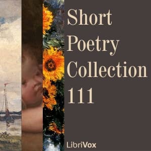 Short Poetry Collection 111