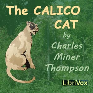 Calico Cat (version 2)