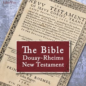 Bible (DRV) New Testament