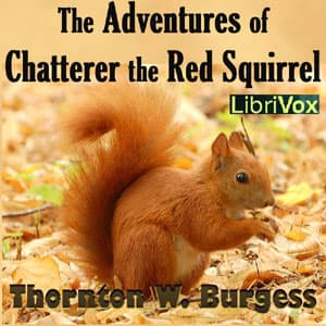Adventures of Chatterer the Red Squirrel