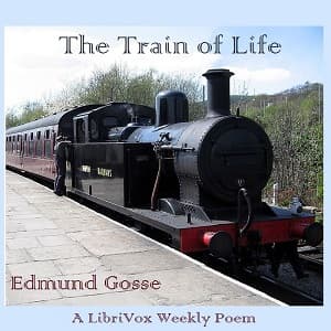 Train of Life