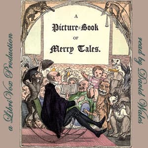 Picture Book Of Merry Tales