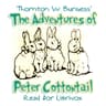 Adventures of Peter Cottontail