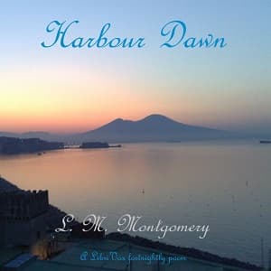 Harbour Dawn