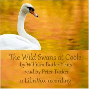 Wild Swans at Coole (Version 2)