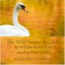Wild Swans at Coole (Version 2)