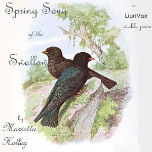Spring Song of the Swallow