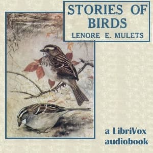 Stories of Birds