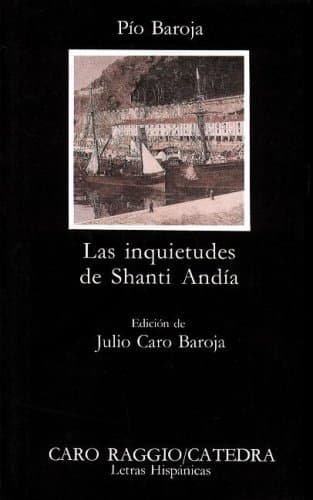 Las Inquietudes De Shanti Andia