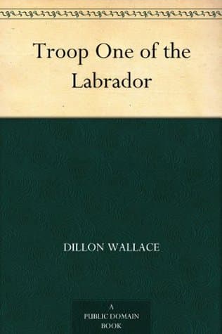 Troop One of the Labrador