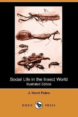 Social Life in the Insect World