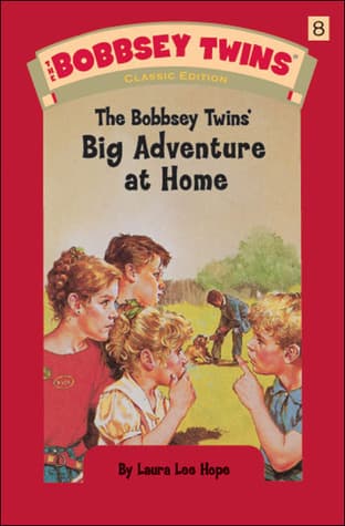The Bobbsey Twins at Home