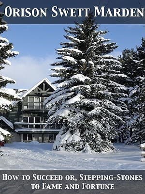 How to Succeed; Or, Stepping-Stones to Fame and Fortune