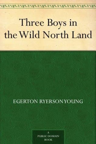 Three Boys in the Wild North Land