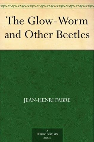 The Glow-Worm and Other Beetles