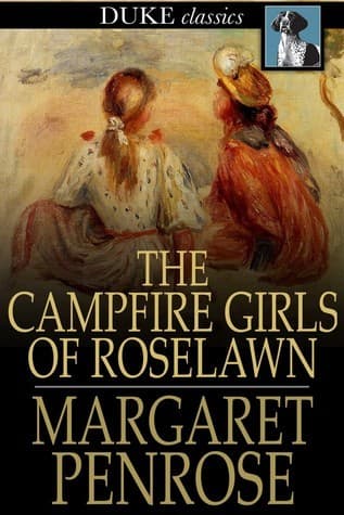 The Campfire Girls of Roselawn: Or, a Strange Message from the Air