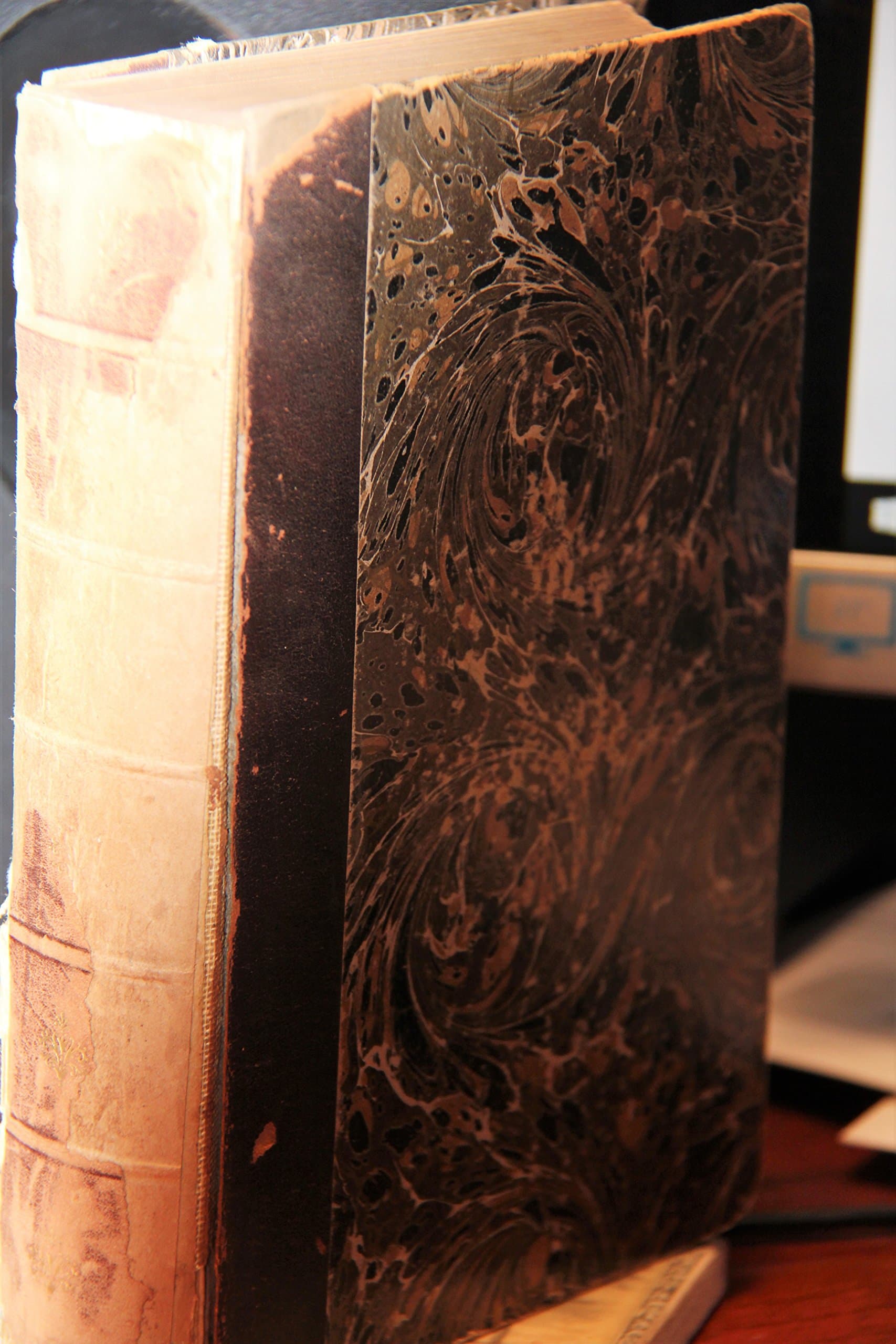 A Little Journey in the World