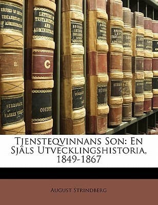 Tjensteqvinnans Son: En Själs Utvecklingshistoria