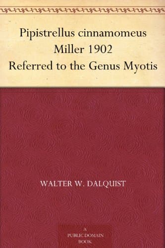 Pipistrellus Cinnamomeus Miller 1902 Referred to the Genus Myotis