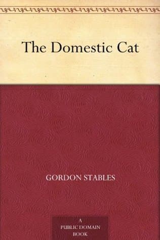 The Domestic Cat