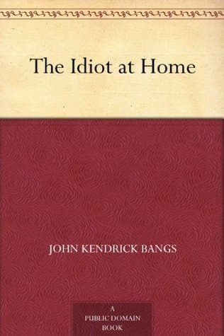 The Idiot at Home