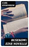 Busekow: Eine Novelle
