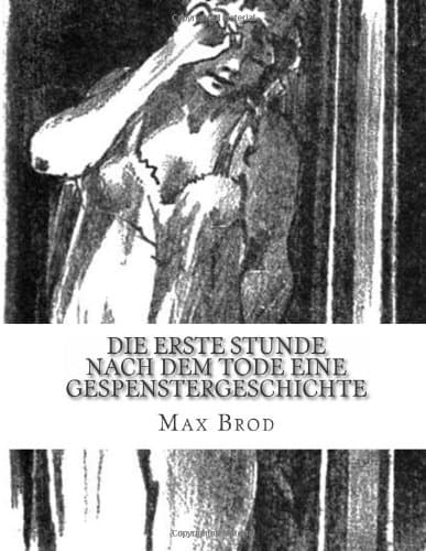 Die Erste Stunde Nach Dem Tode: Eine Gespenstergeschichte