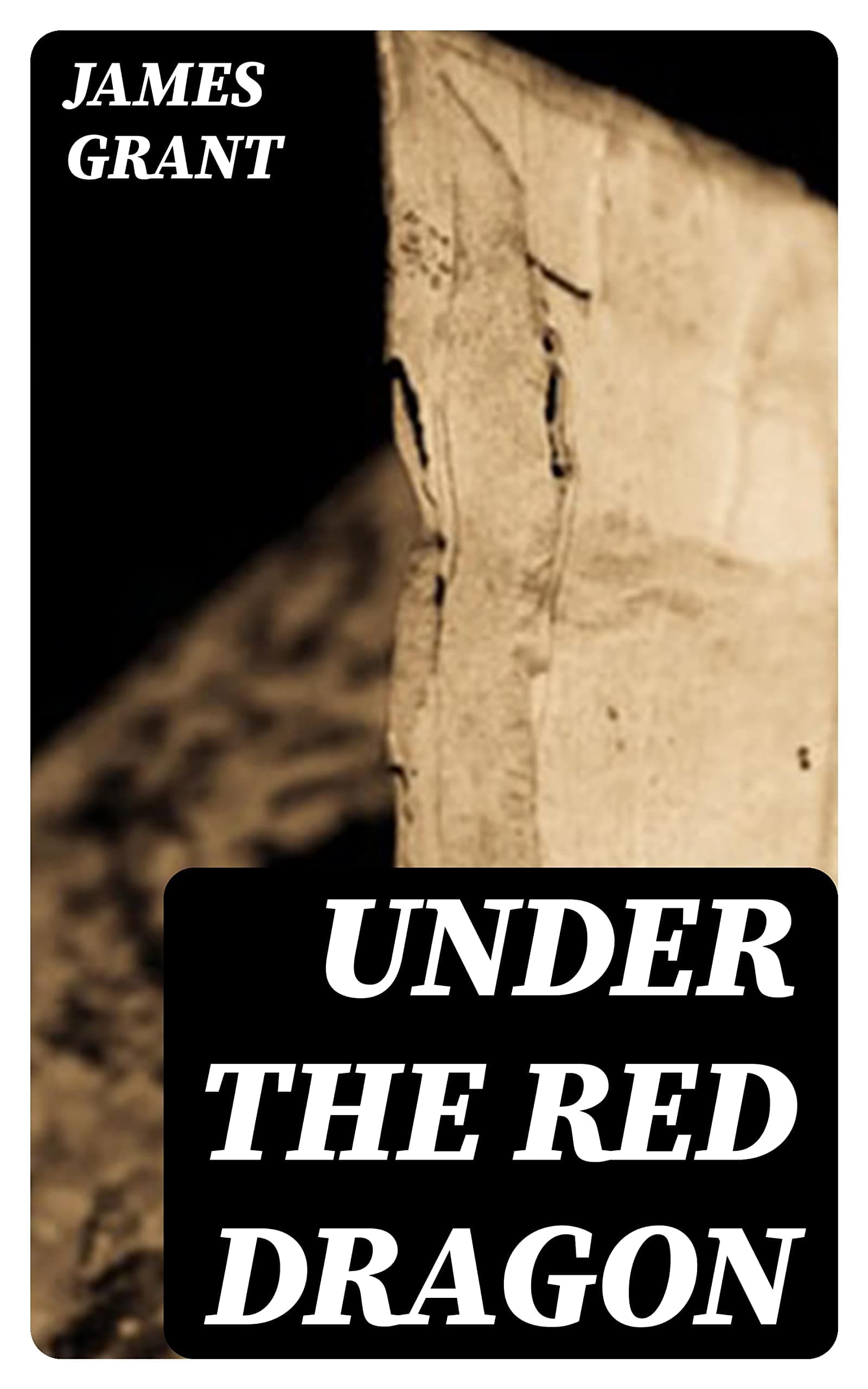 Under the Red Dragon: A Novel