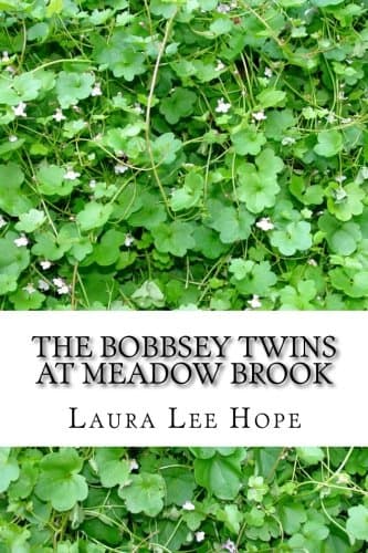The Bobbsey Twins at Meadow Brook