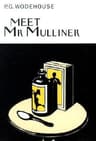 Meet Mr Mulliner