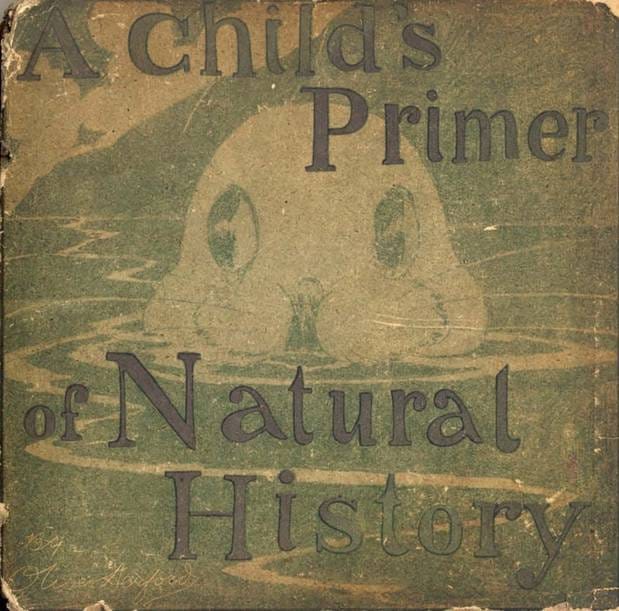 A Child's Primer of Natural History