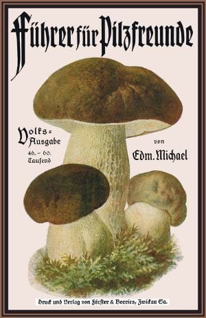 Führer Für Pilzfreunde