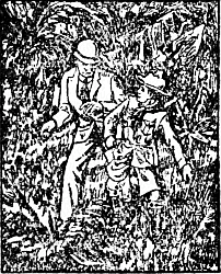 The Boy Scouts for Uncle Sam