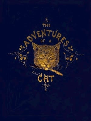 The Adventures of a Cat, and a Fine Cat Too!