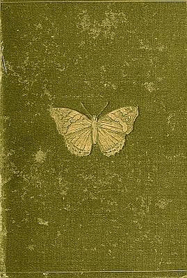 Butterflies and Moths (british)